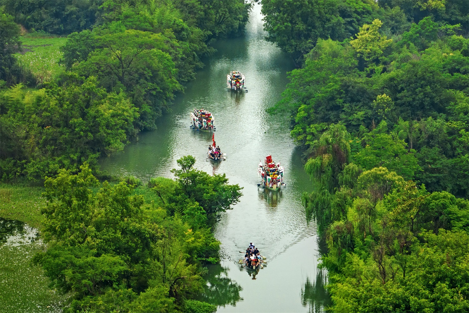 چین میں 903 قومی ویٹ لینڈ پارکس قائم